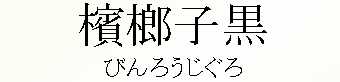 081_т낤